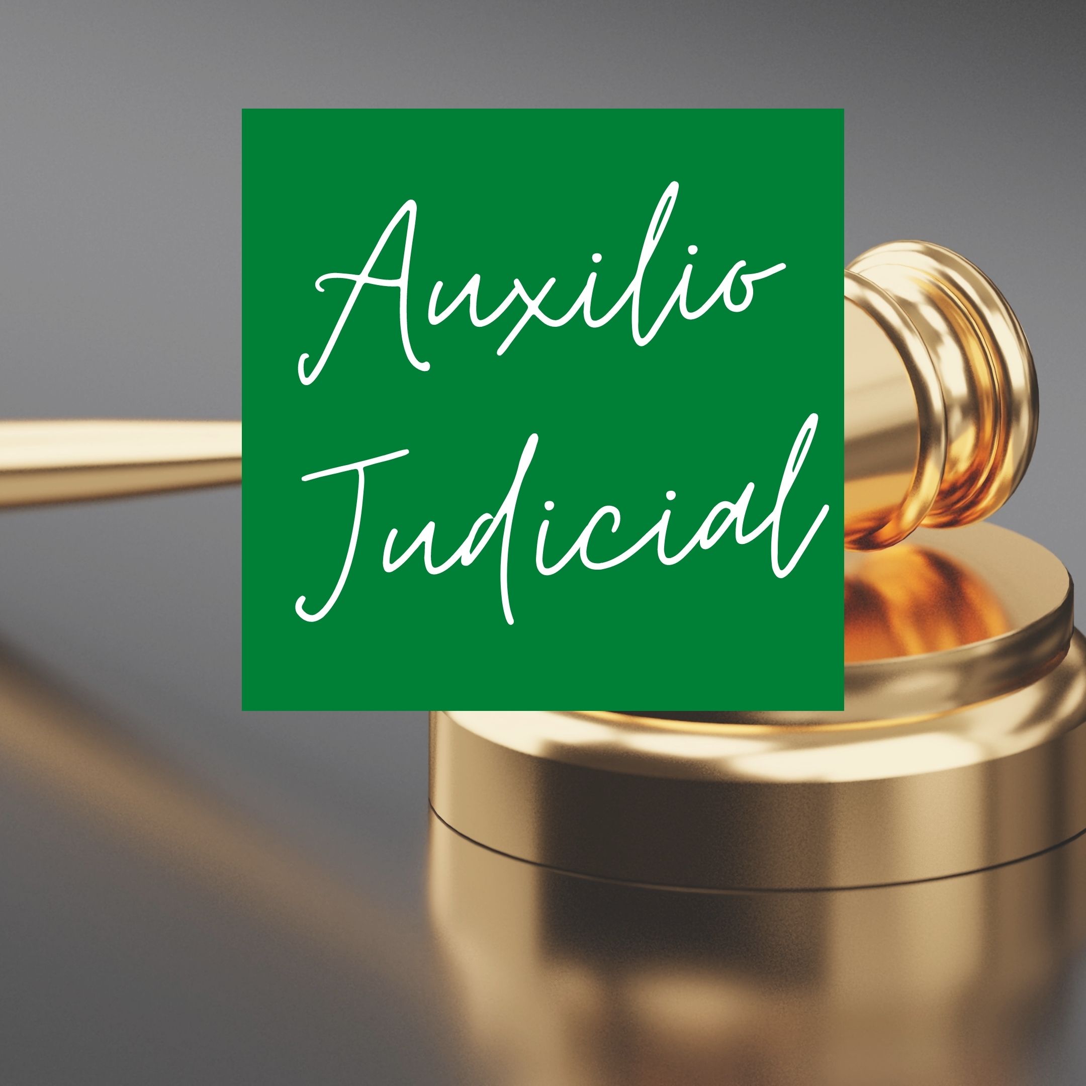 Auxilio Judicial